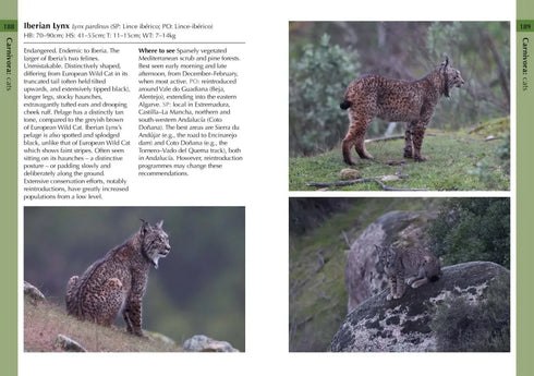 Mammals of Iberia - Bocos Gonzales 2025